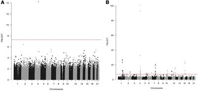 Genetic risk factors for postoperative atrial fibrillation—a nationwide genome-wide association study (GWAS)